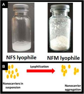 Impact of nanocarrier aggregation on EPR-mediated tumor targeting